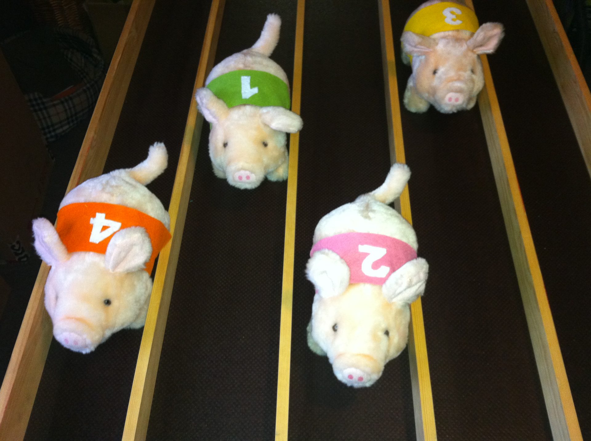 Schweine rennen