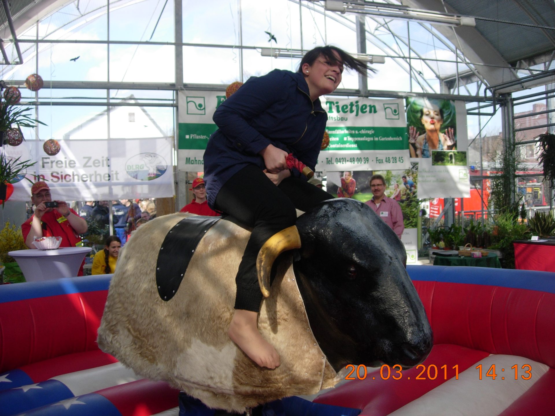 Bullriding