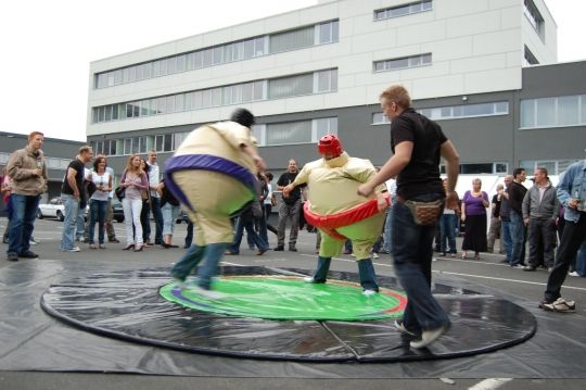 Sumo ringen