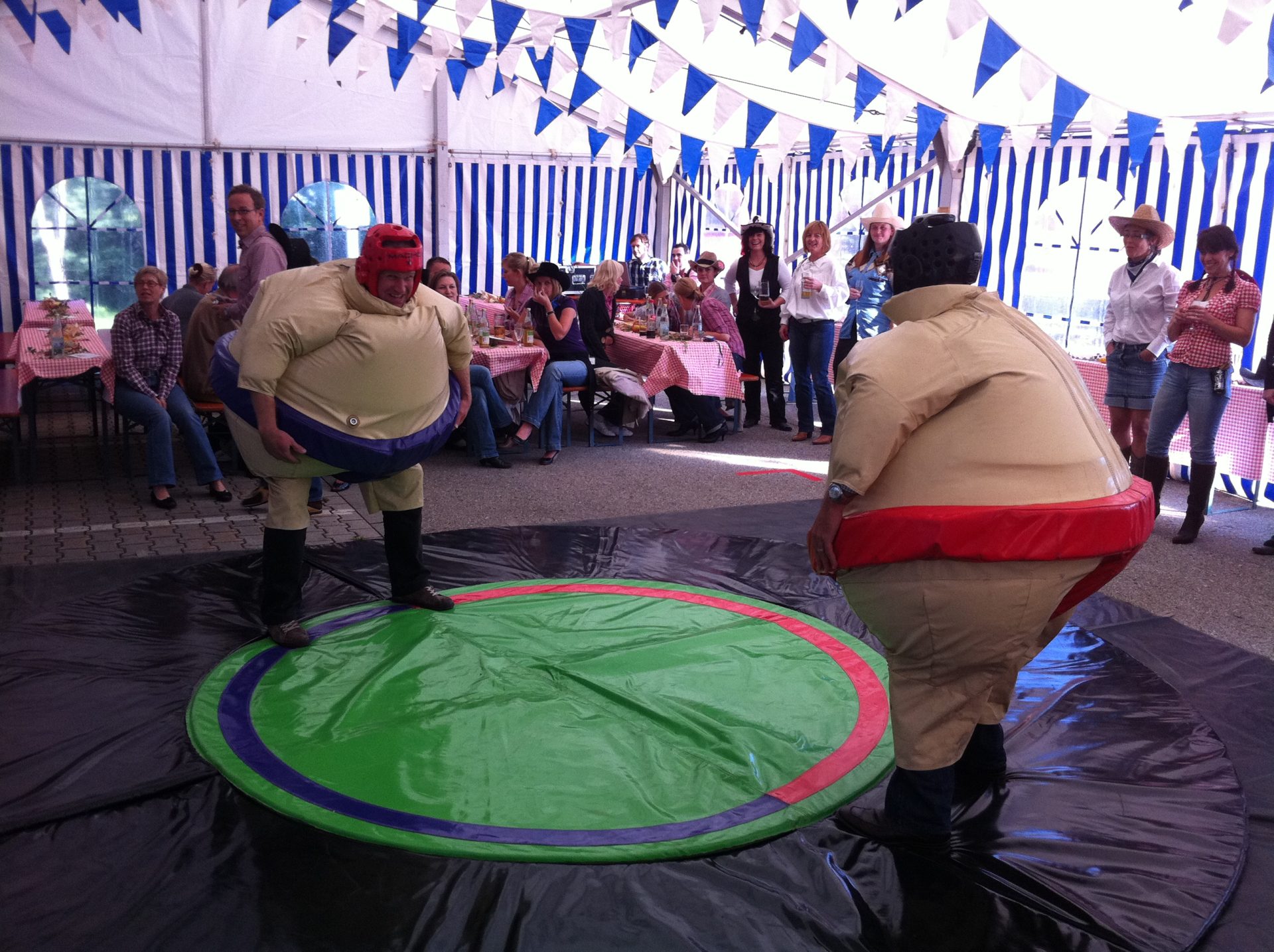 Sumo ringen